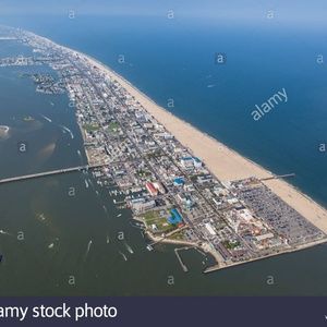 Meet your Posher, Terry